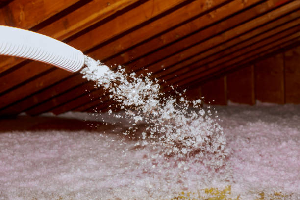 Best Insulation Maintenance and Repair in Gardner, KS