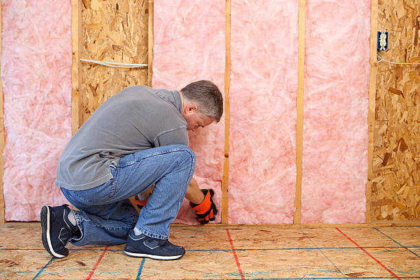 Best Commercial Insulation in Gardner, KS