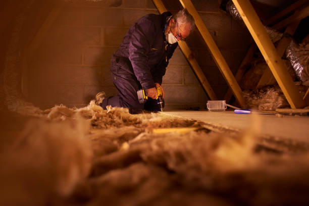 Best Cellulose Insulation in Gardner, KS